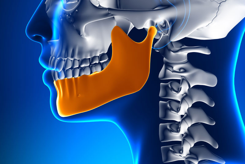 Jaw Bone Graphic